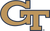 Georgia Tech Yellow Jackets