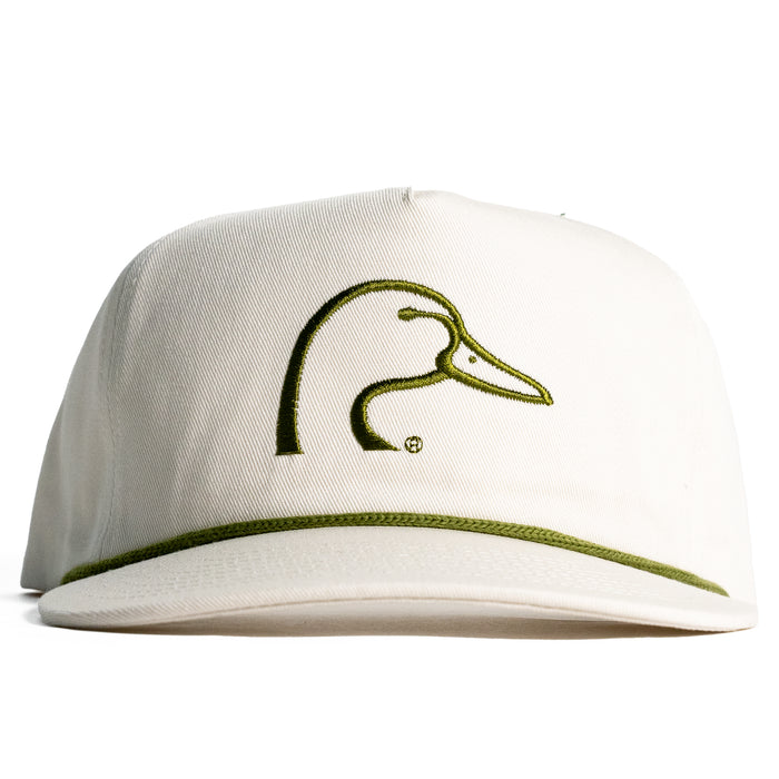 Widgeon