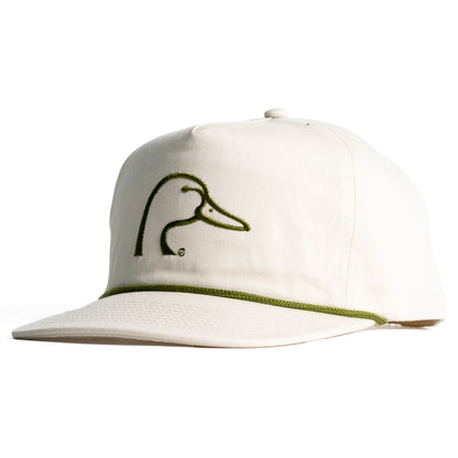 Widgeon